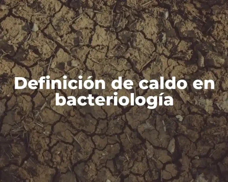 Definición de caldo en bacteriología