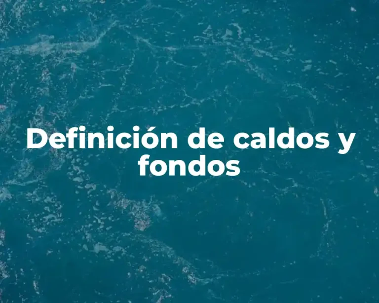 Definición de caldos y fondos