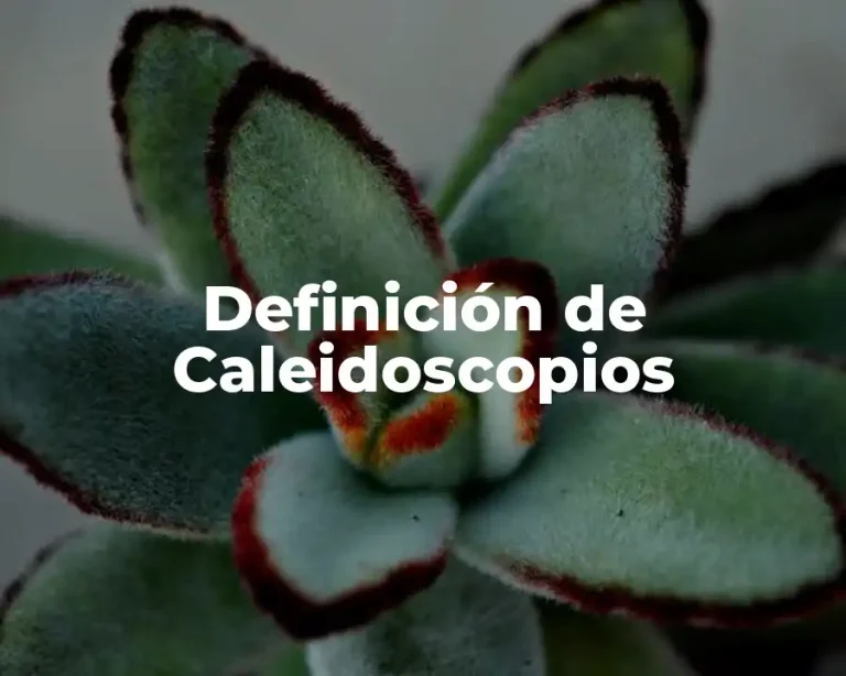Definición de Caleidoscopios
