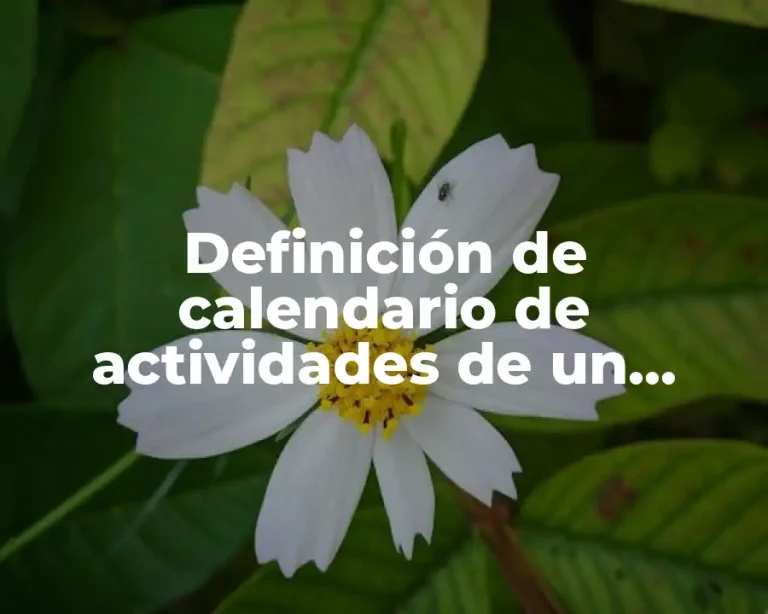 Definición de calendario de actividades de un negocio de postres