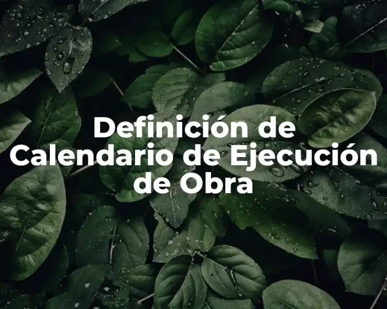 Definición de Calendario de Ejecución de Obra