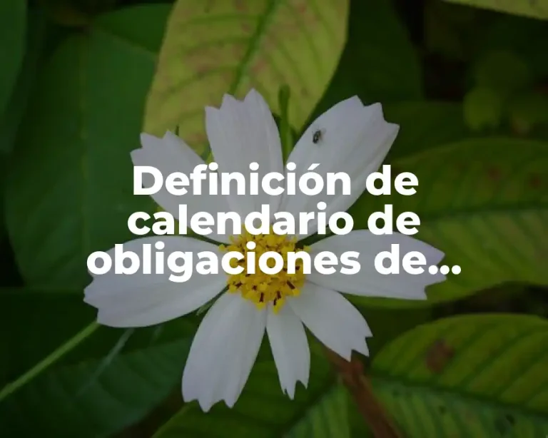 Definición de calendario de obligaciones de personas morales