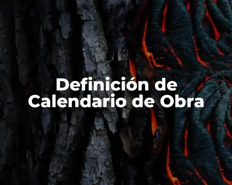 Definición de Calendario de Obra