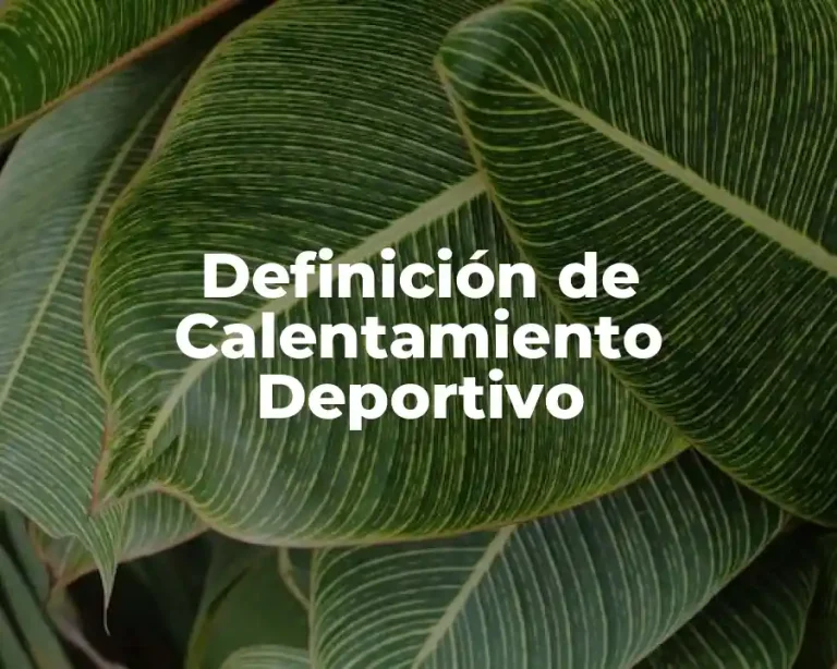 Definición de Calentamiento Deportivo