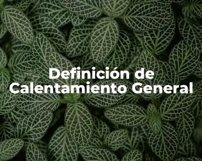 Definición de Calentamiento General