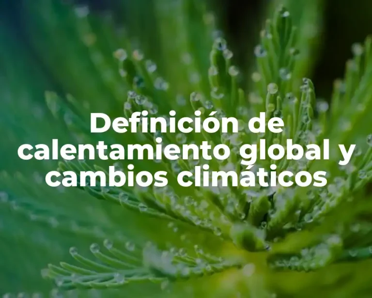 Definición de calentamiento global y cambios climáticos