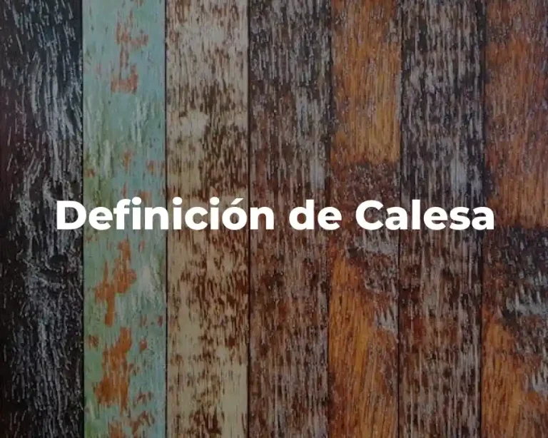Definición de Calesa