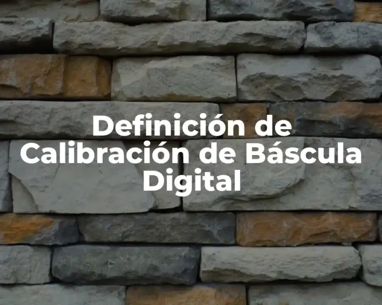 Definición de Calibración de Báscula Digital