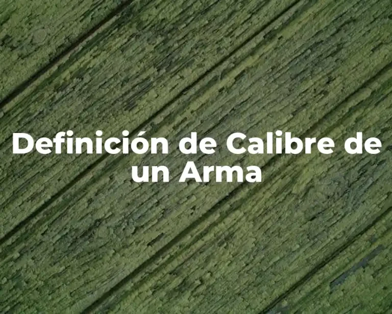 Definición de Calibre de un Arma