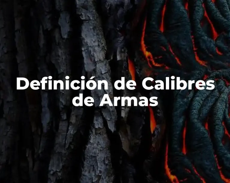 Definición de Calibres de Armas