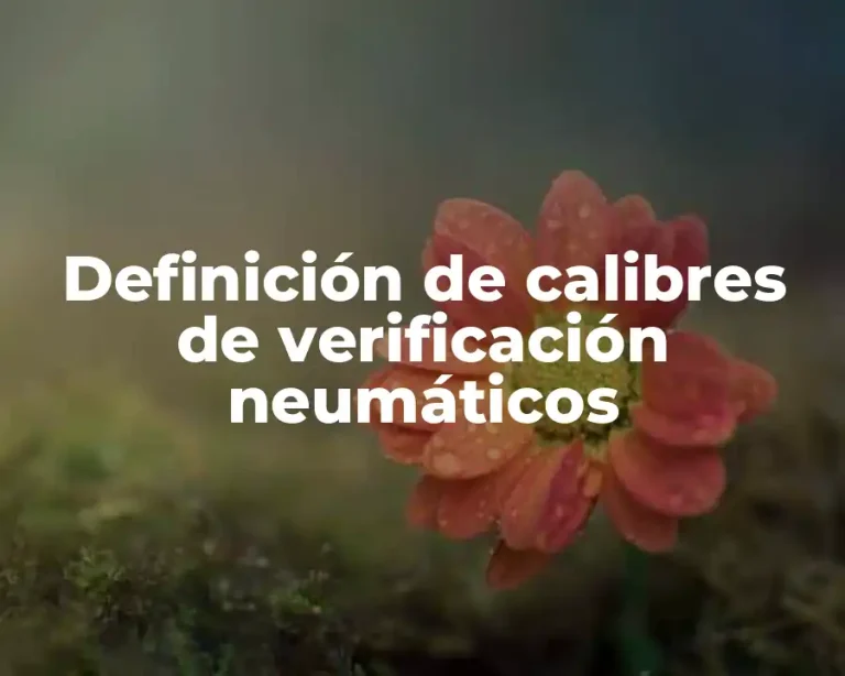 Definición de calibres de verificación neumáticos