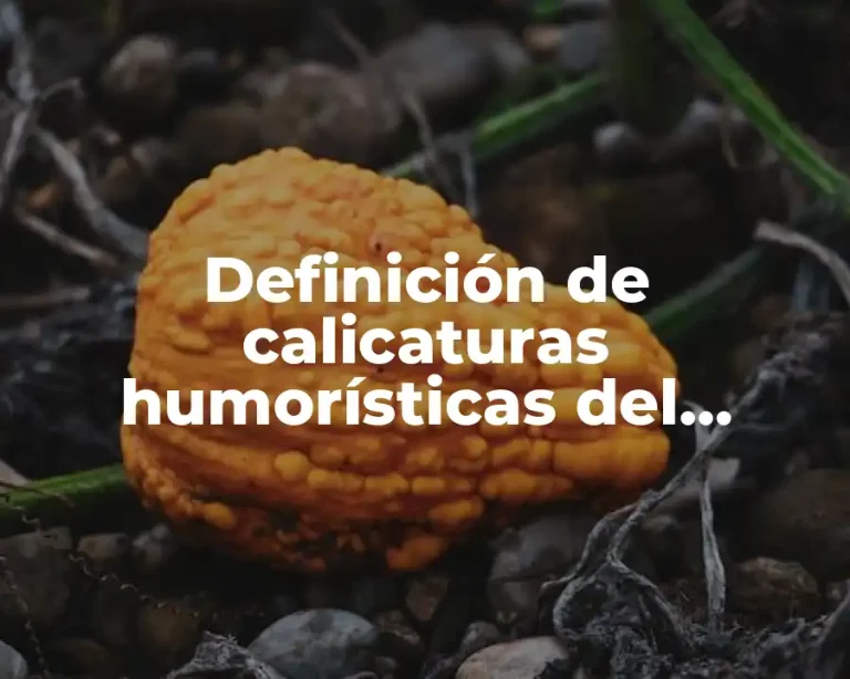 Definición de calicaturas humorísticas del periódico