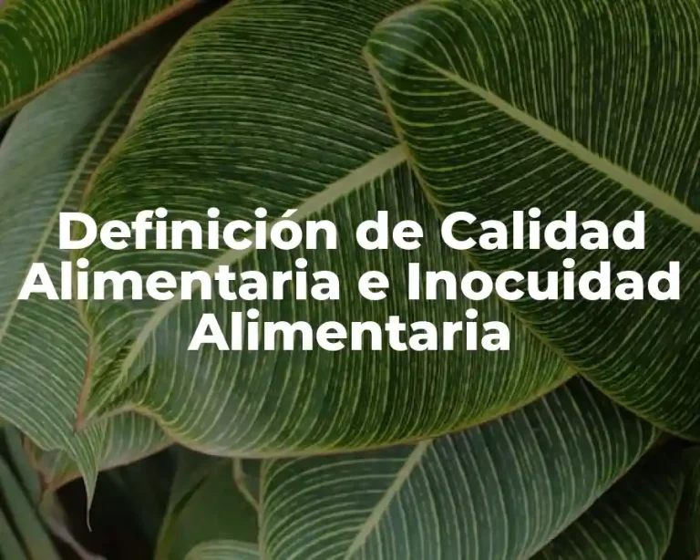 Definición de Calidad Alimentaria e Inocuidad Alimentaria