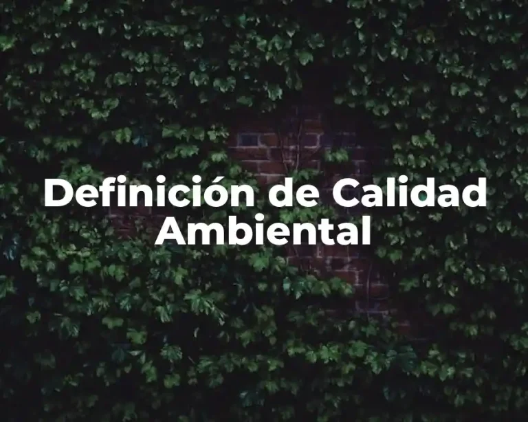 Definición de Calidad Ambiental