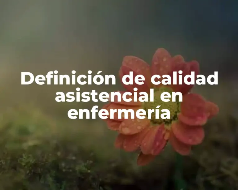Definición de calidad asistencial en enfermería