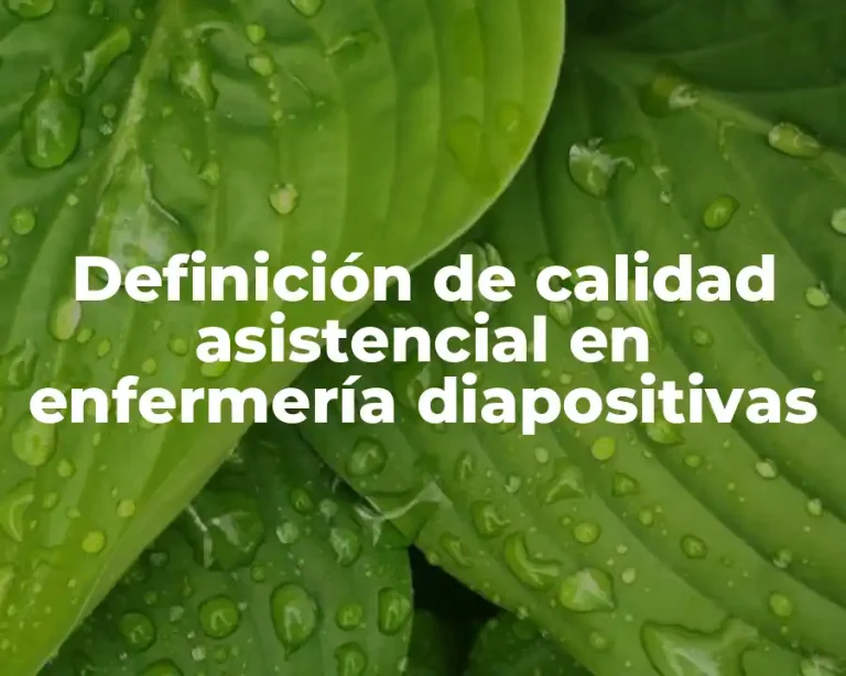 Definición de calidad asistencial en enfermería diapositivas