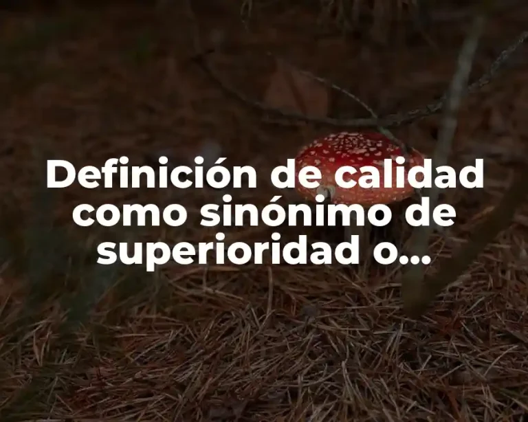 Definición de calidad como sinónimo de superioridad o excelencia