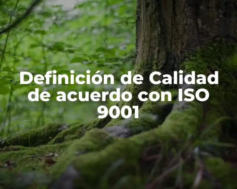 Definición de Calidad de acuerdo con ISO 9001