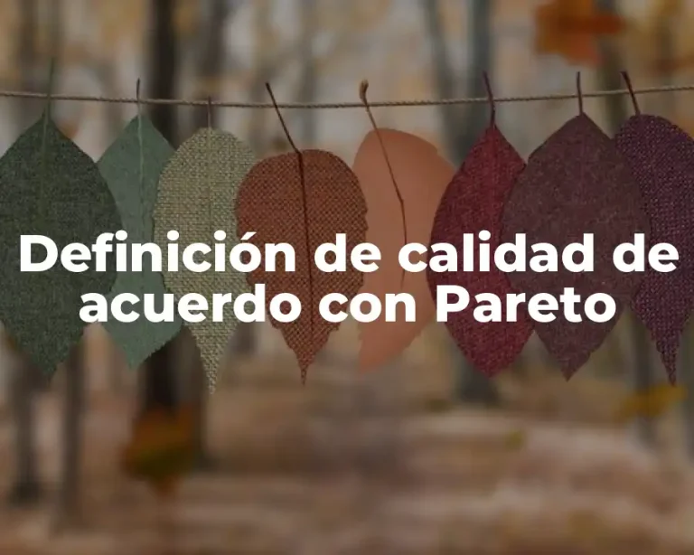 Definición de calidad de acuerdo con Pareto