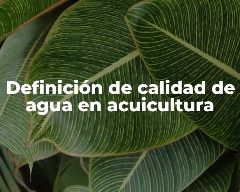 Definición de calidad de agua en acuicultura