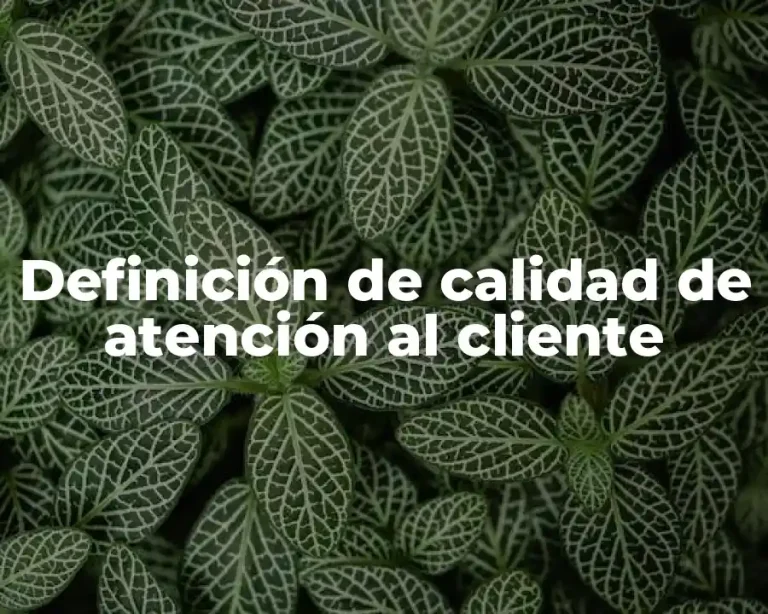 Definición de calidad de atención al cliente