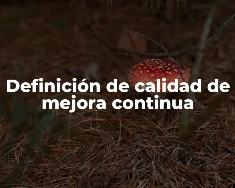 Definición de calidad de mejora continua