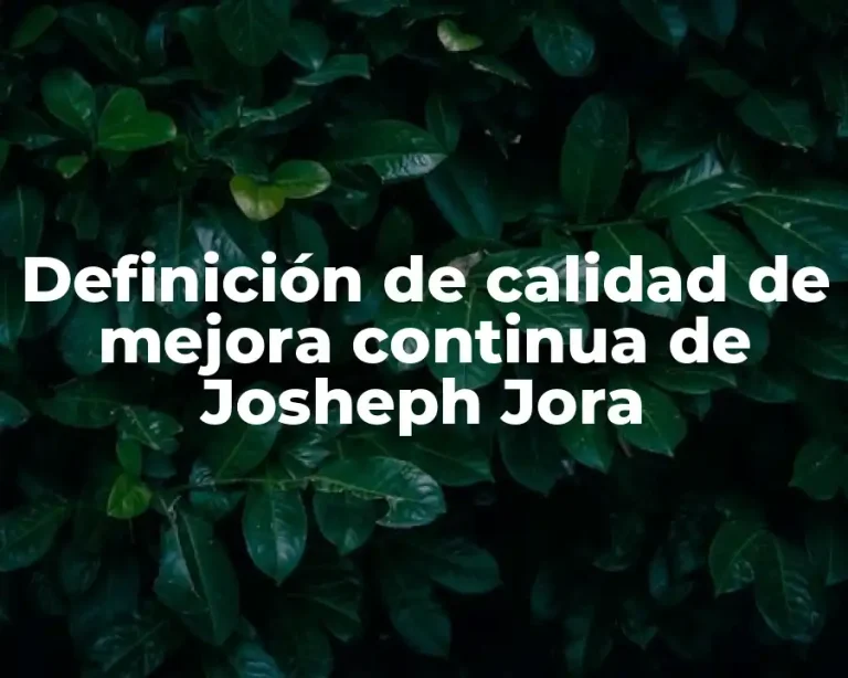 Definición de calidad de mejora continua de Josheph Jora