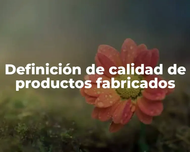 Definición de calidad de productos fabricados