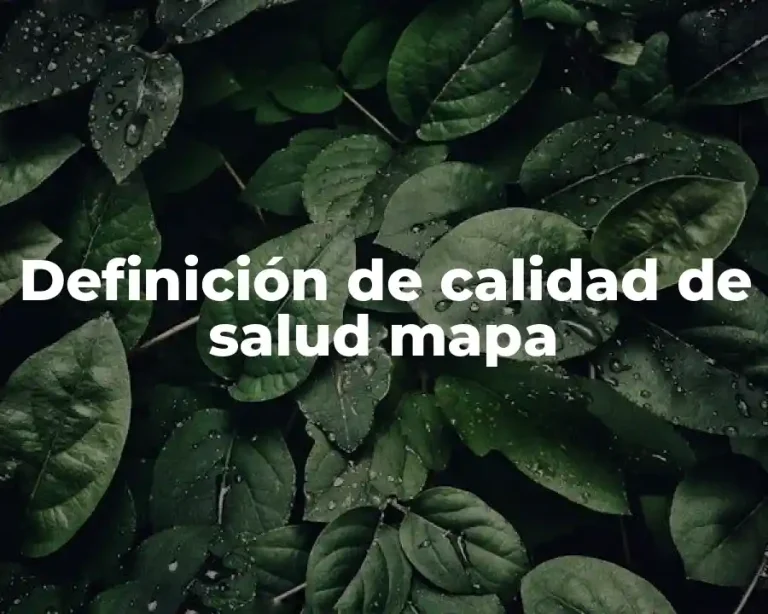 Definición de calidad de salud mapa