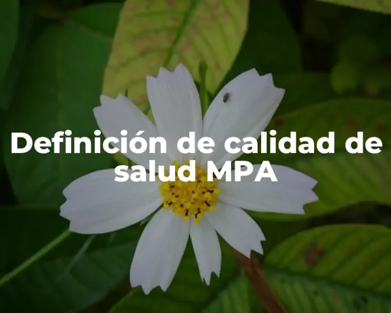 Definición de calidad de salud MPA