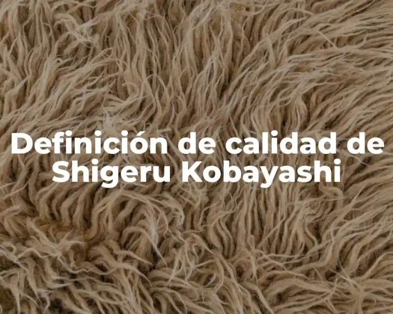 Definición de calidad de Shigeru Kobayashi