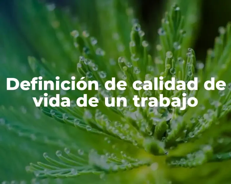 Definición de calidad de vida de un trabajo