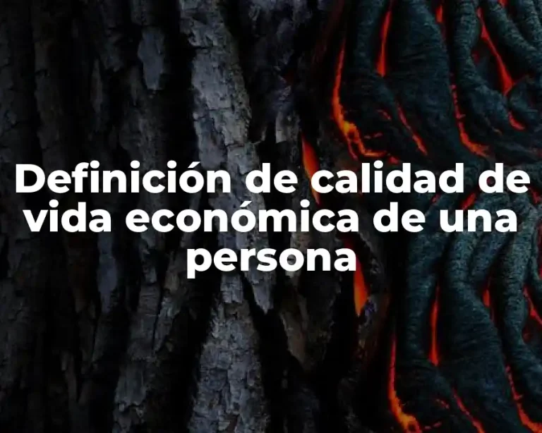 Definición de calidad de vida económica de una persona
