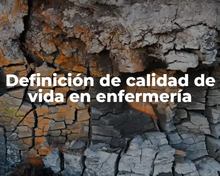 Definición de calidad de vida en enfermería