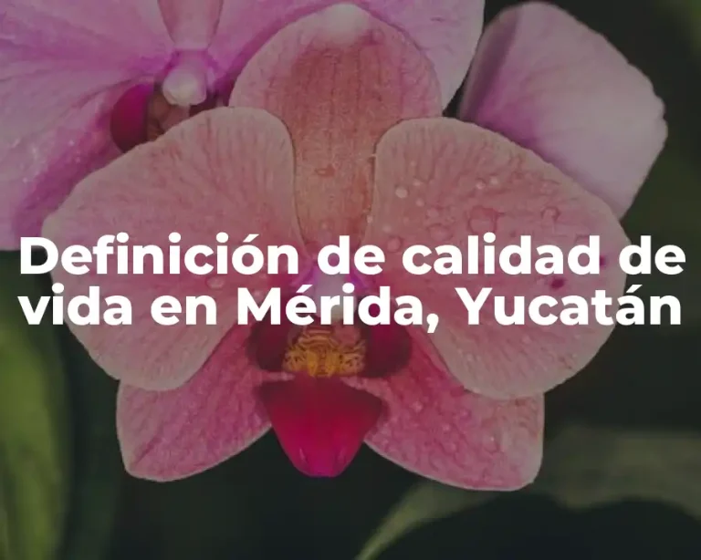 Definición de calidad de vida en Mérida, Yucatán
