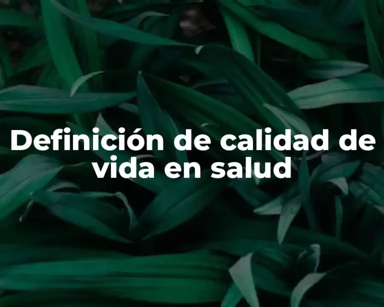 Definición de calidad de vida en salud