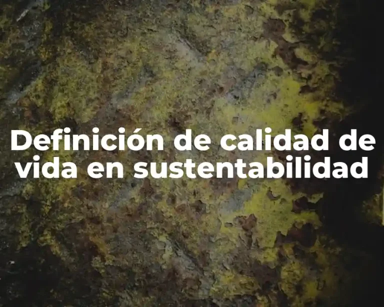 Definición de calidad de vida en sustentabilidad