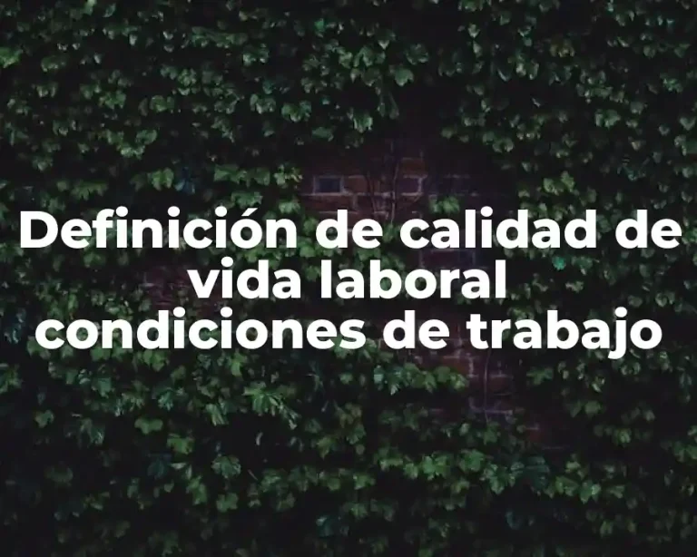 Definición de calidad de vida laboral condiciones de trabajo