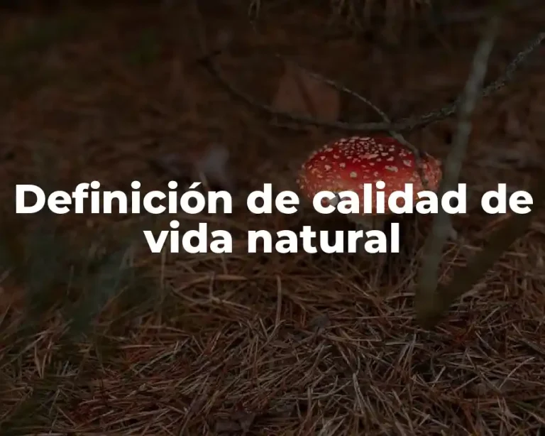 Definición de calidad de vida natural