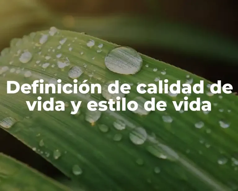Definición de calidad de vida y estilo de vida