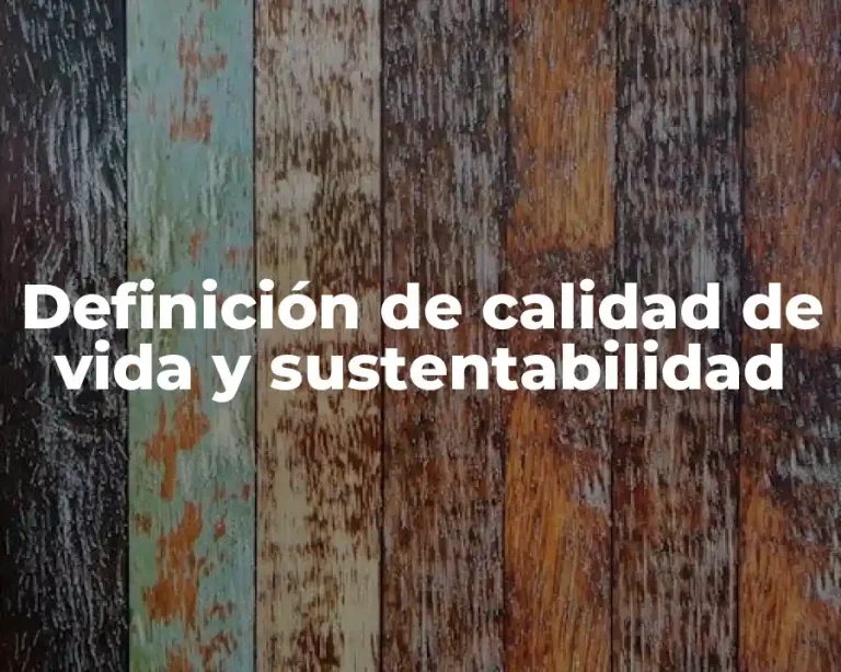 Definición de calidad de vida y sustentabilidad