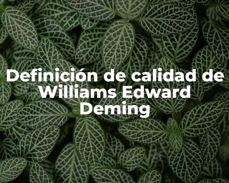 Definición de calidad de Williams Edward Deming