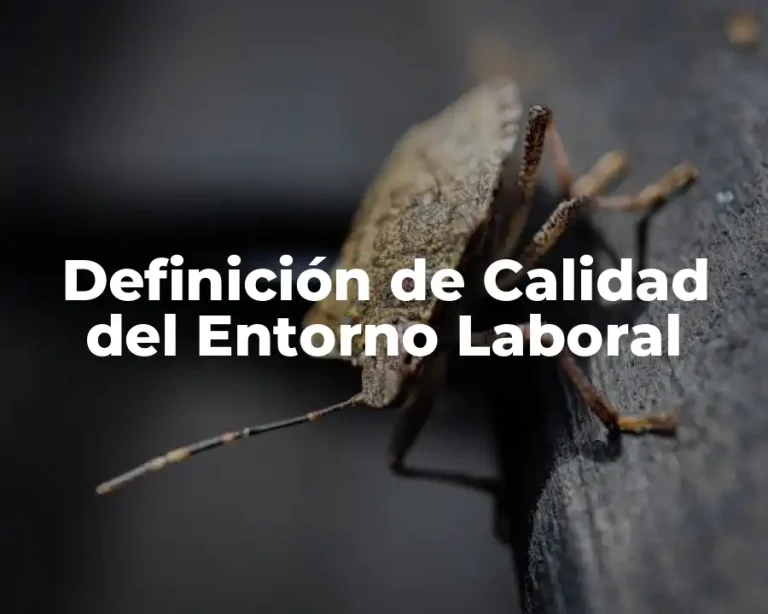 Definición de Calidad del Entorno Laboral