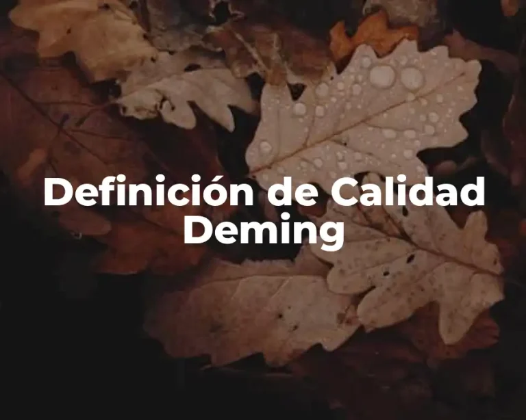 Definición de Calidad Deming