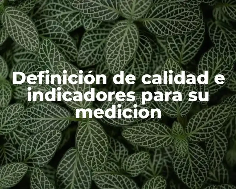 Definición de calidad e indicadores para su medicion