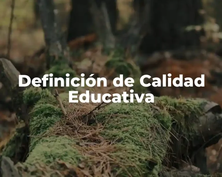 Definición de Calidad Educativa