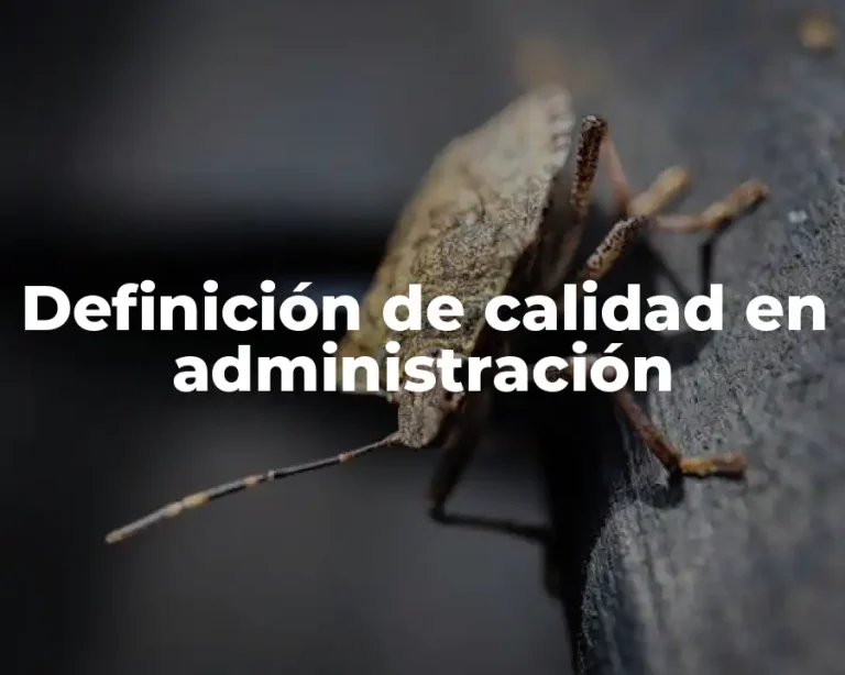 Definición de calidad en administración