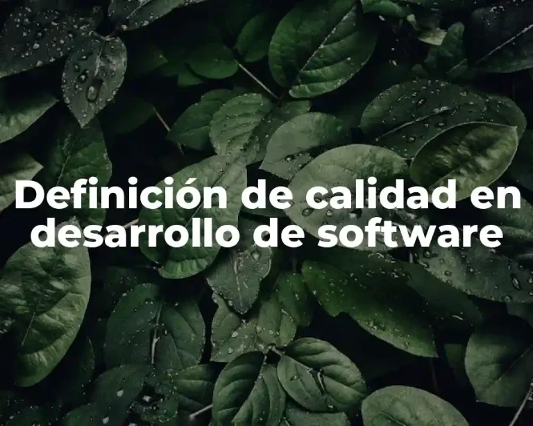Definición de calidad en desarrollo de software
