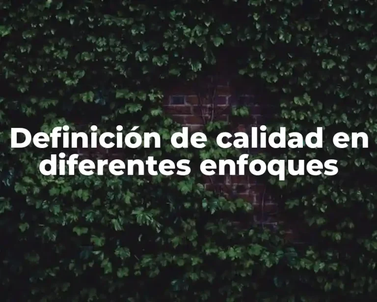 Definición de calidad en diferentes enfoques