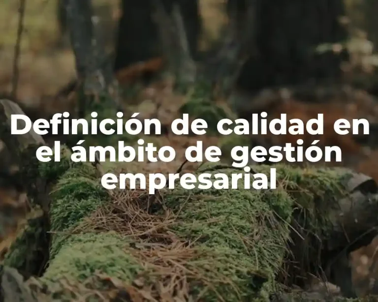Definición de calidad en el ámbito de gestión empresarial
